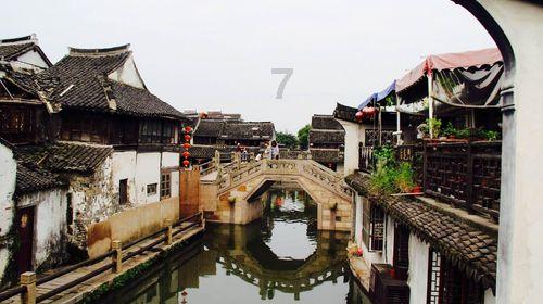 拯救精灵的土地10
